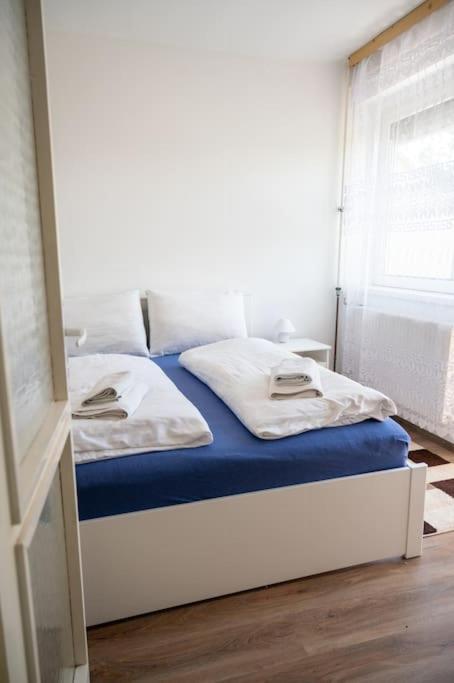 Balaton Close To The Apartment *